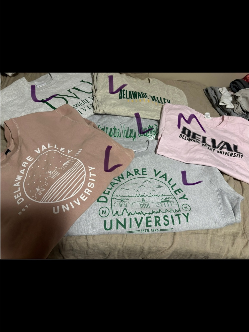 COLLEGE MERCH PACK (Delaware valley edition) - Picture 2 of 2